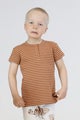 HARRAN T-paita, Stripe Brown