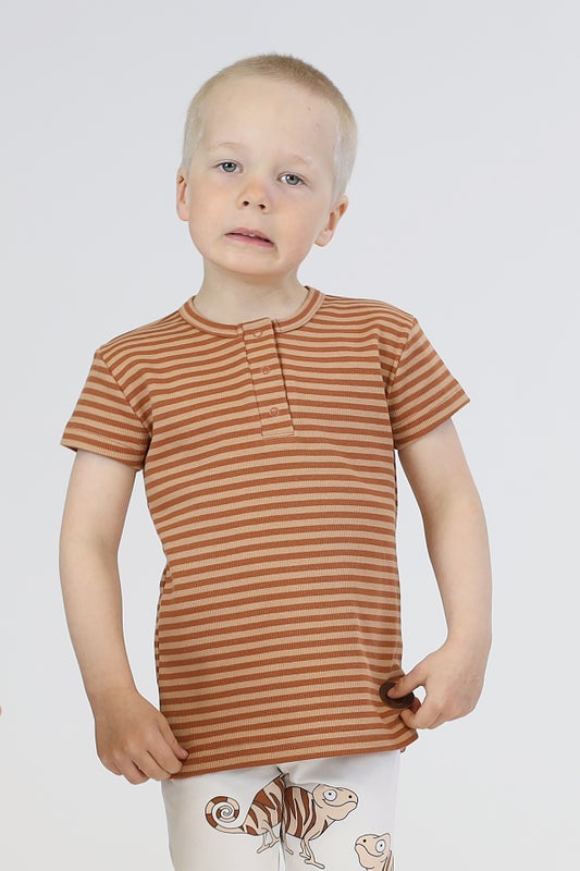 HARRAN T-paita, Stripe Brown